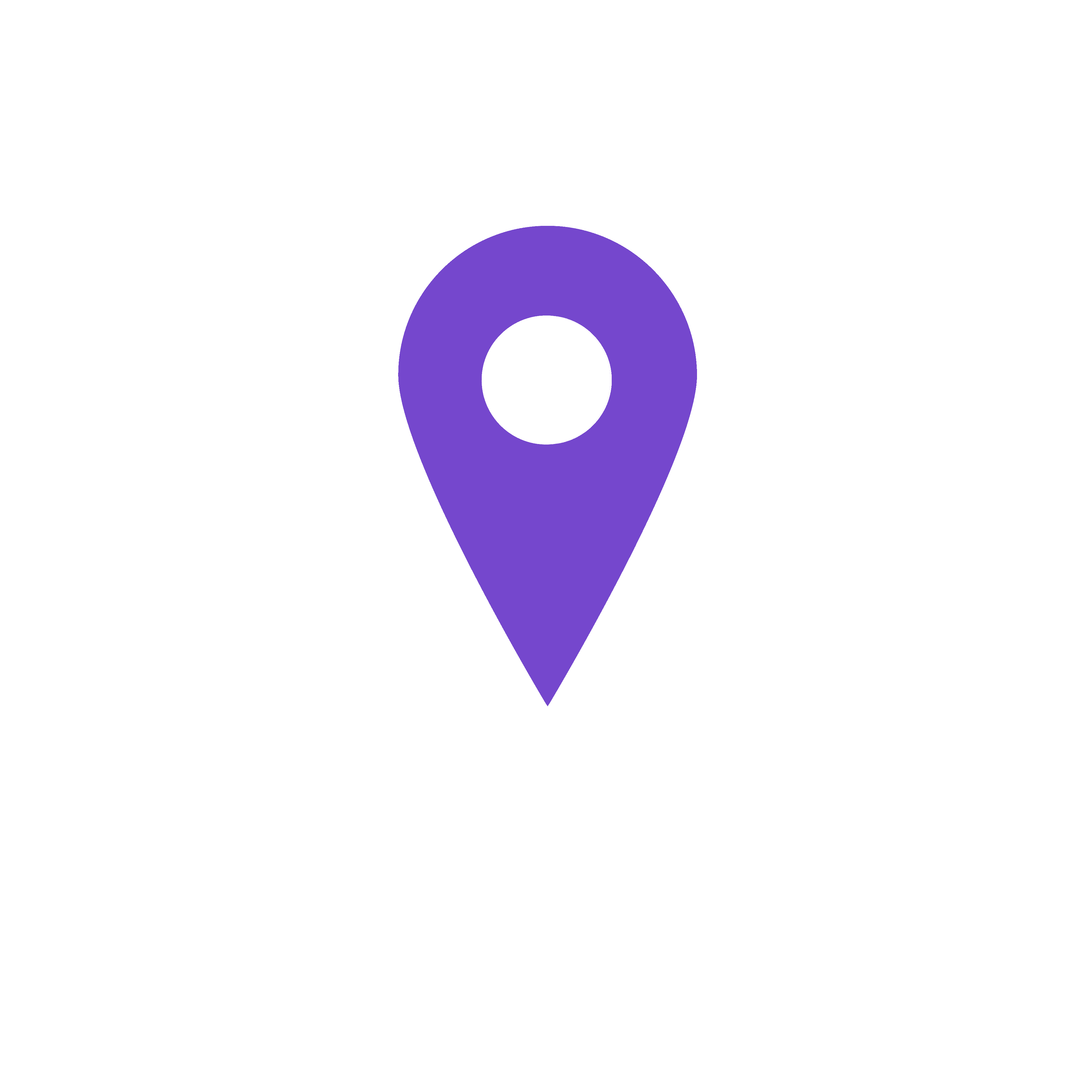 VibeWise Logo